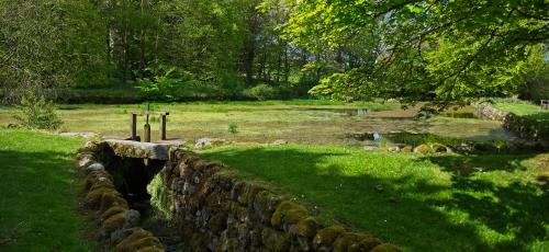 New Abbey mill pond
